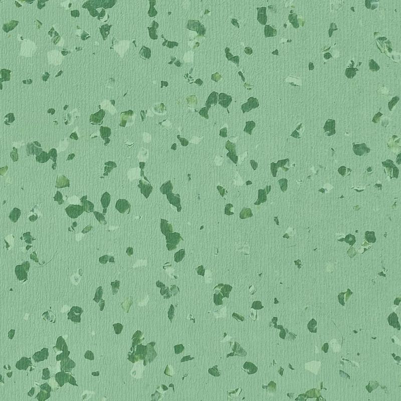 1.5mm 医療室のための均質な床