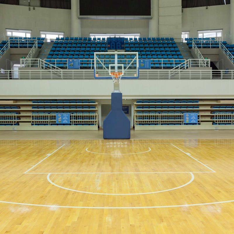 プロフェッショナル インテリア スポーツ インターロック 床 卓越したスポーツ 床 ソリューション